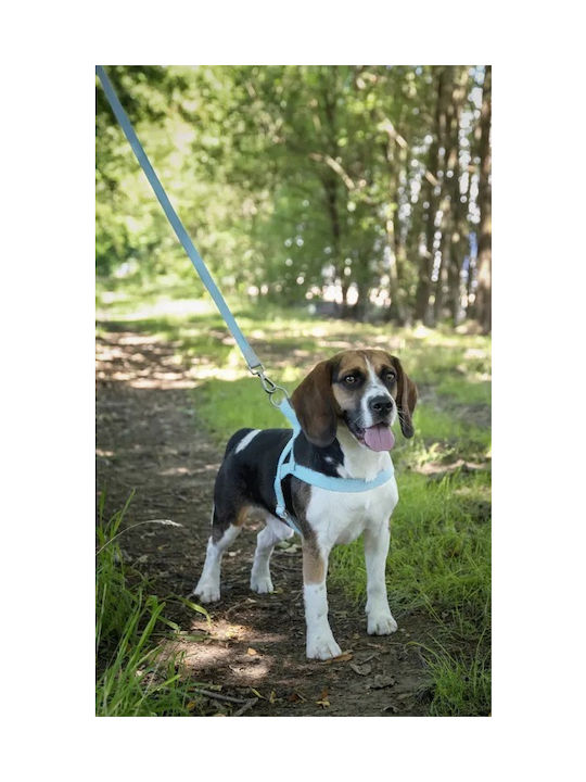 Flamingo Hundegeschirr Ausbildung Blau Mittel