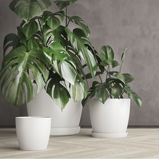 Don-Plast Pot Plastic Don-Plast Pot Plastic