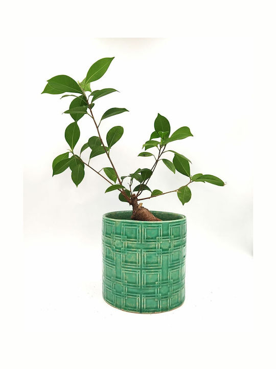 Ghiveci Ceramică Turcoaz Ghiveci Ceramică Turcoaz