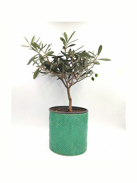 Ghiveci Ceramică Turcoaz Ghiveci Ceramică Turcoaz