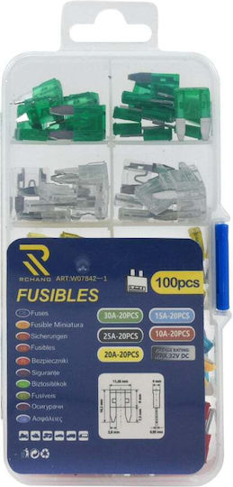 Rchang Car Fuse Set Blades 100pcs