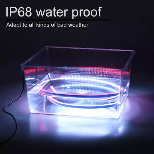 Exterior Decorative Car Lighting System White Color