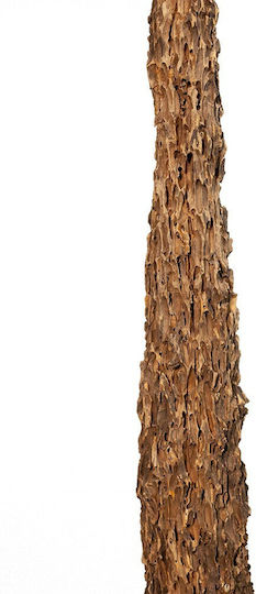 Διακοσμητικό Δαπέδου 106cm