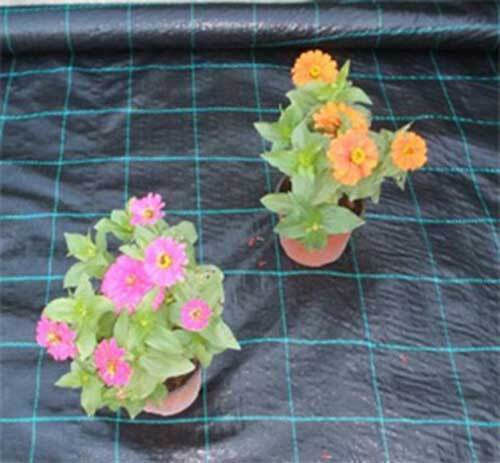 Ground Cover Fabric 95gr/m² Ground Cover Fabric 95gr/m²