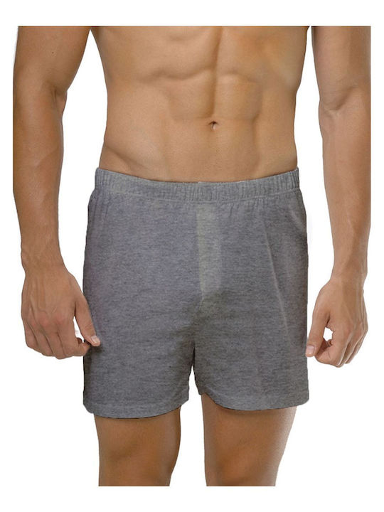 FMS Herren Boxershorts Gray 2Packung