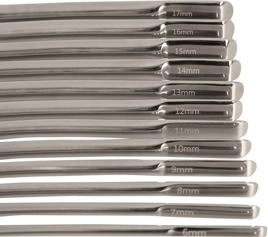 PenisPlug BDSM Kit 14τμχ