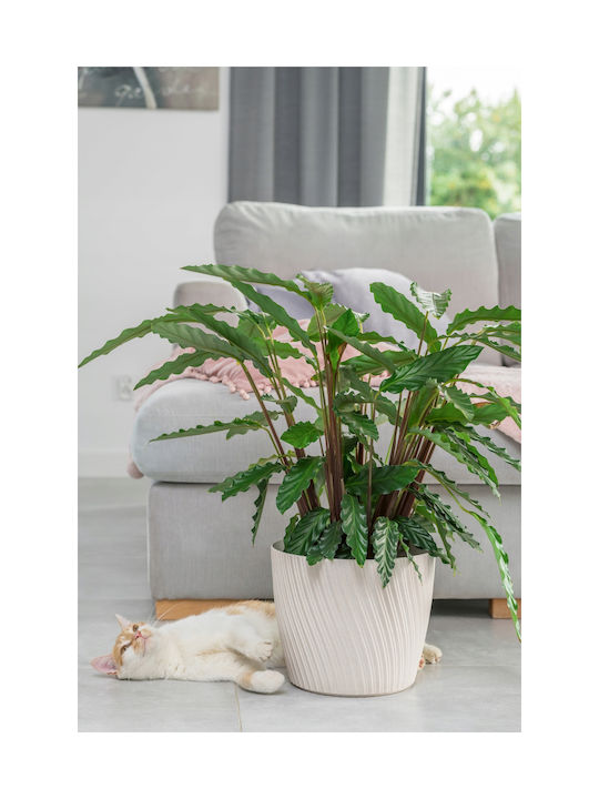 Form Plastic Mika Kunststoff Blumentopf Forest Moss mit Untersetzer 27x27x24,5cm