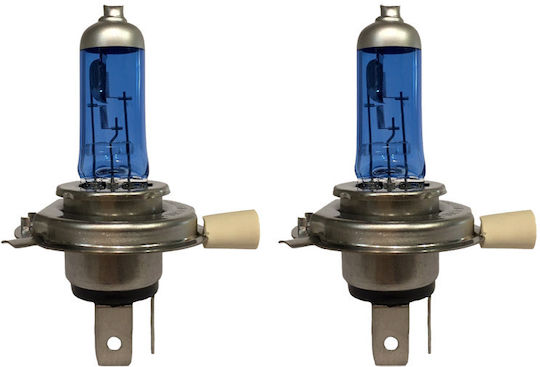 Auto Gs Lampen Auto Superwhite H4 Halogen Weiß 12V 55W 2Stück