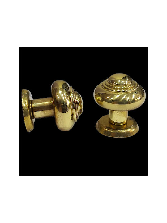 Eurofer Knob Furniture made of Metallic Gold-glossy 11389-000-BRZ2 1pcs