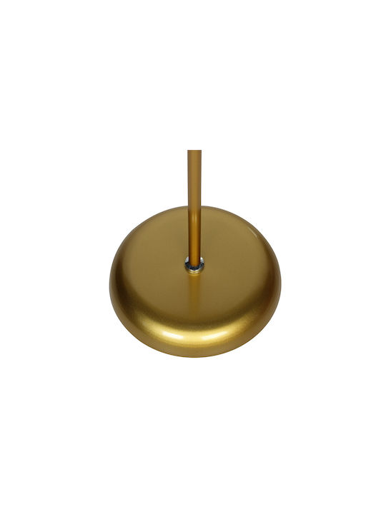Keskor Floor Lamp H174xW24.5cm. with Socket for Bulb E27 Gold