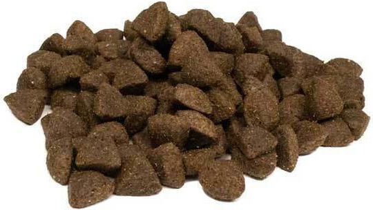 Weego Adult Grain Free Ocean Salmon 2kg Ξηρά Τροφή χωρίς Σιτηρά για Ενήλικους Σκύλους με Σολομό
