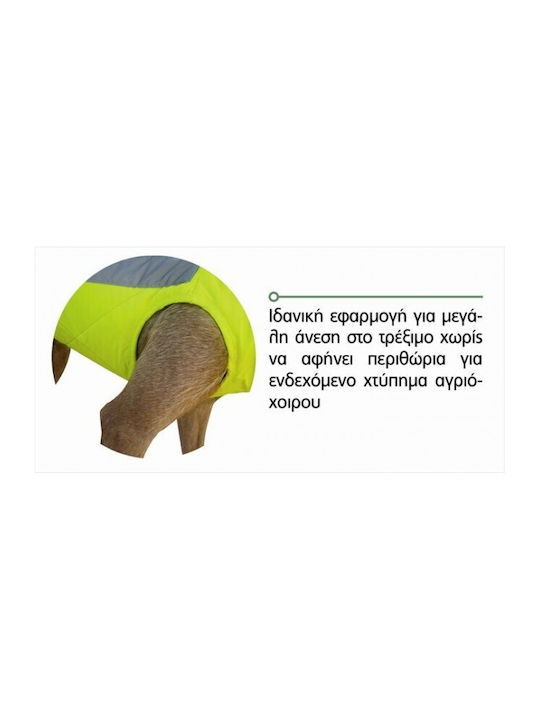 Outdoor Life Hundemantel Gelb