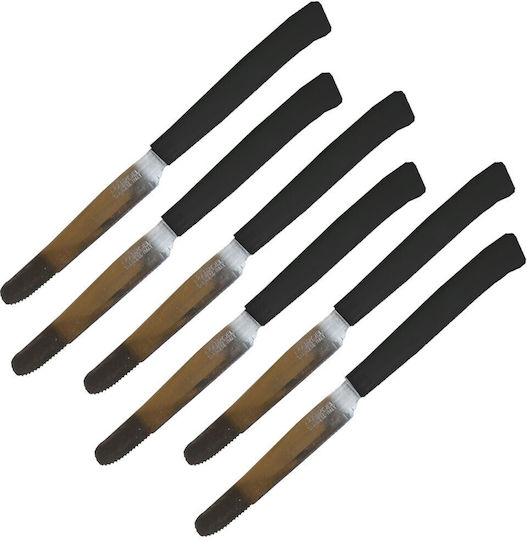 HOMie Set HOMie Set