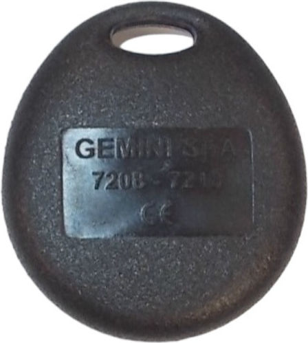 Gemini Car Alarm Control