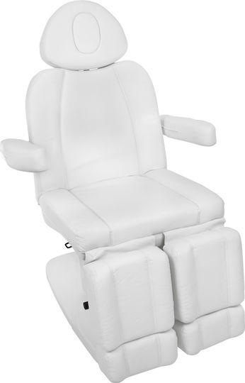Friseursalon- und Spa-Stühle mit Elektrischer Hebemechanismus