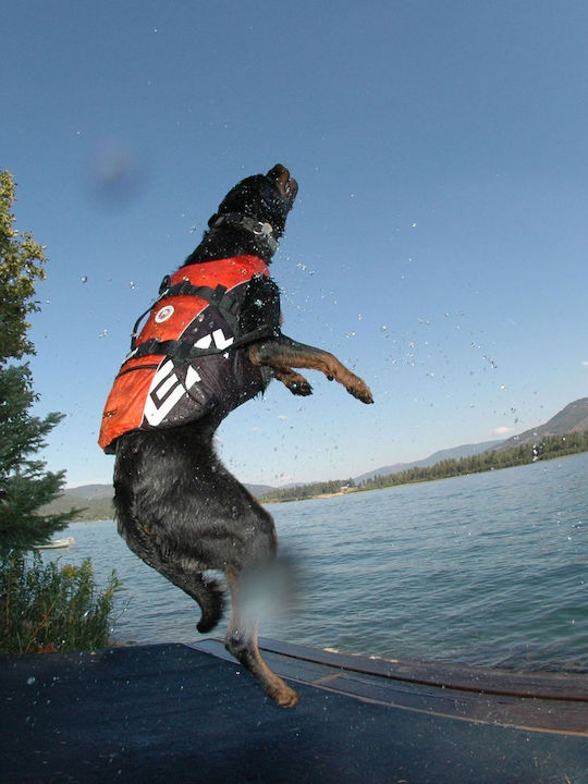 Ezydog Dog Life Jacket Waterproof Red