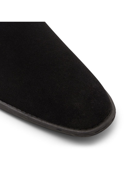 Aldo