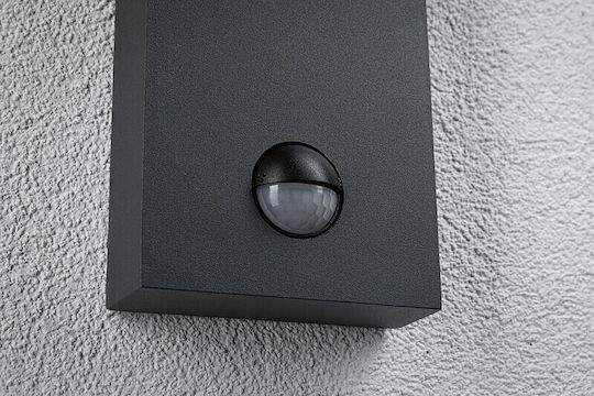 Paulmann Wall-Mounted Outdoor Light LED IP44 8.5W