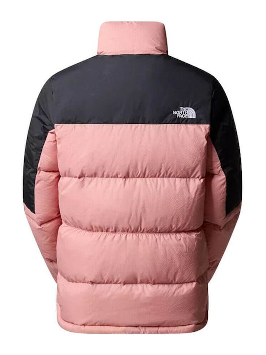 The North Face The North Face