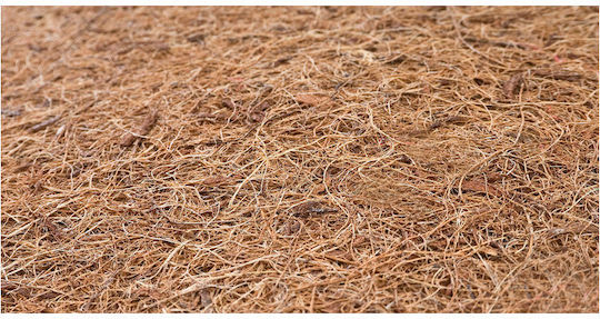 Sensillo Kinderbettmatratze mit Latex 70x140+12cm