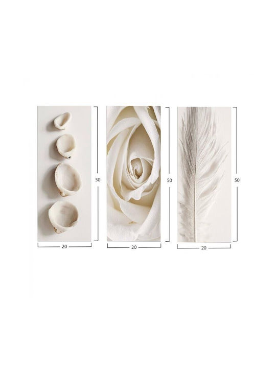 HomeMarkt Natural Elements Threefold Painting Wooden 50x60cm