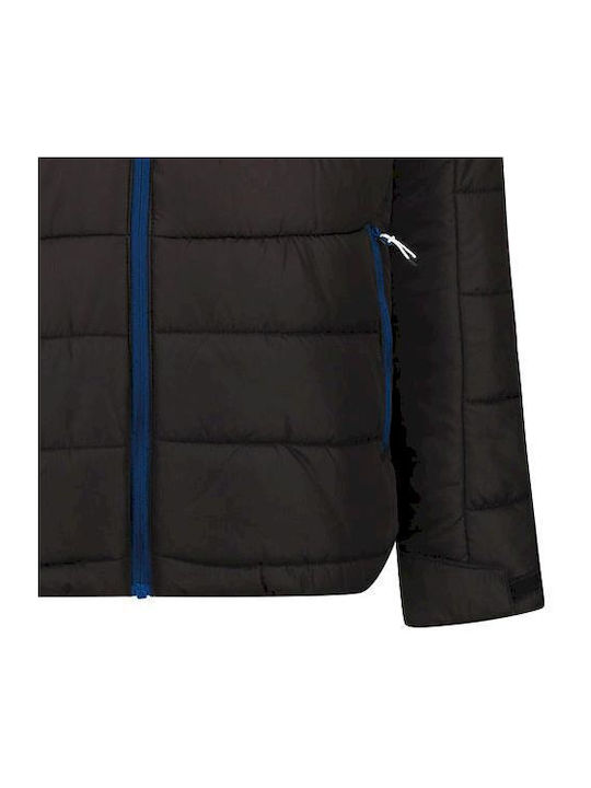 Regatta Men's Winter Puffer Jacket Black/Royal