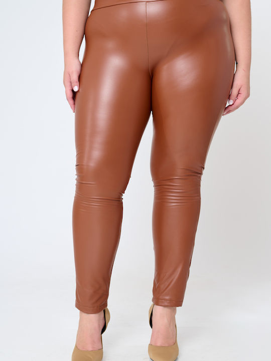 Jucita Jucita