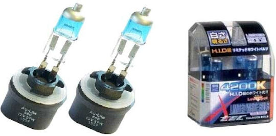 Xtec Lampen Auto HID SuperWhite H27W/1-880 Halogen 4200K Naturweiß 12V 27W 2Stück