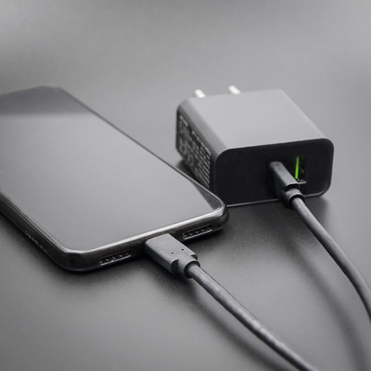 Qoltec USB 3.1 Cable USB-C male - USB-C Μαύρο 1.4m 52350