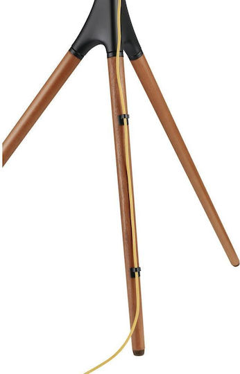 Brateck FS12-46F Suport TV pardoseală până la 65" și 32kg
