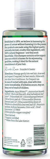 Faith in Nature Aloe Vera Shampoos against Dandruff for Dry Hair Hair 400ml