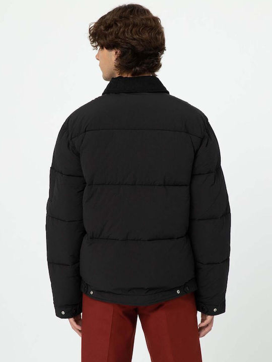 Dickies Dickies