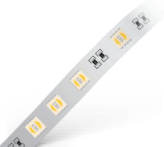 Geyer Ταινία LED 24V RGBW Φως 5m
