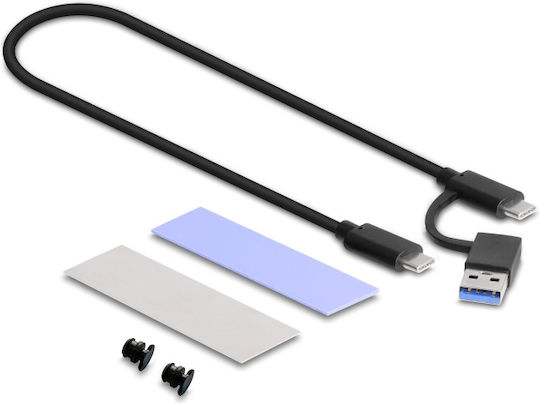 DeLock Θήκη για Σκληρό Δίσκο M.2 PCI Express / SATA III NVME με σύνδεση Type-C