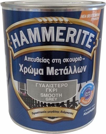 Vivechrom Цвят Антикорозионно покритие 0.75лт Пепелник Блестящ