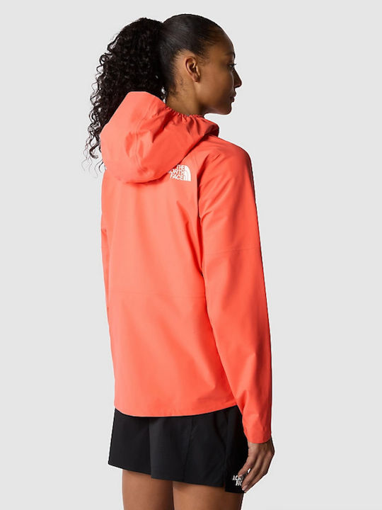 The North Face The North Face