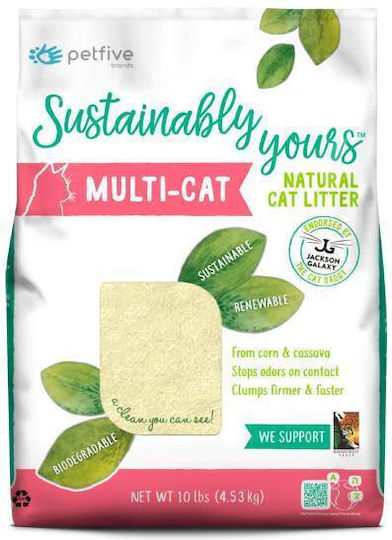 CAT Cat Litter Unscented 4.53kg