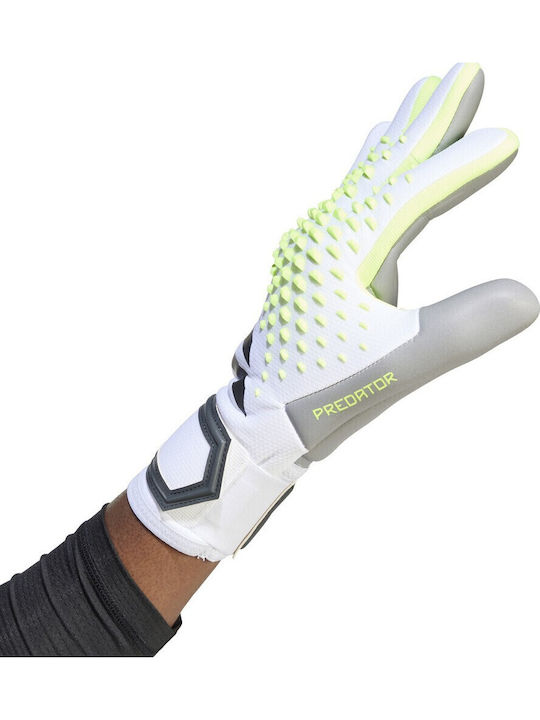adidas Predator Competition Adults Goalkeeper Gloves White