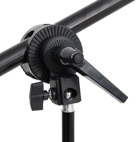 vidaXL Fotostudio-Kit Set Lichter Beleuchtungsset für Studio
