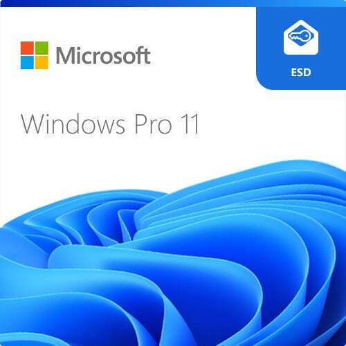 Microsoft Windows 11 Pro DSP Multi-Language Key License