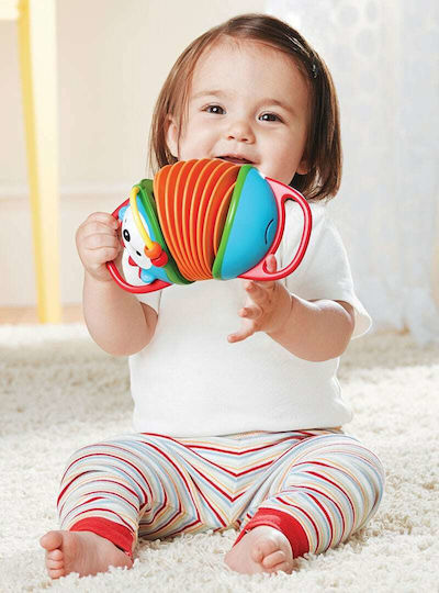 Skip Hop Музикален инструмент Hedgehog Accordion Toy с музика и звуци за 6++ месеца