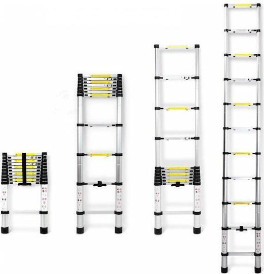 Telescopic Ladder Aluminum 15 of Steps with Maximum Height 4.4m