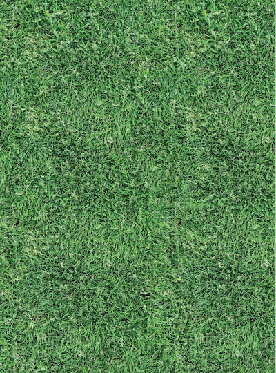 Uni Pap Cardboard Green 50x70cm
