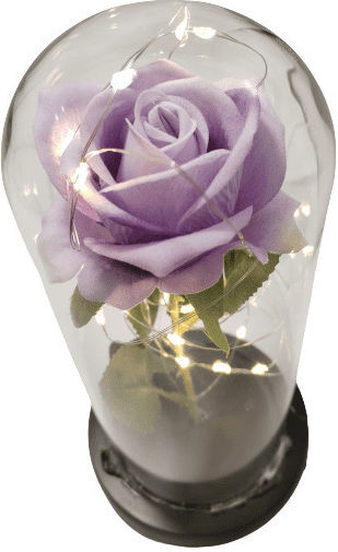 Φωτιστικό Forever Rose