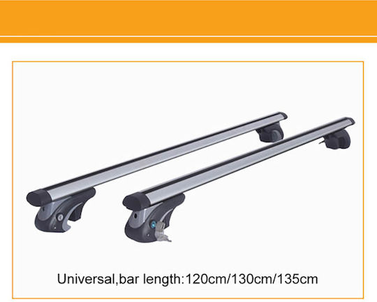 Auto Gs 120cm. for Cars with Factory Bars (with Roof Rack Legs and Lock) Silver