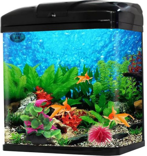 LED Fish Aquarium Capacity 20lt with Lighting, Filter and Black