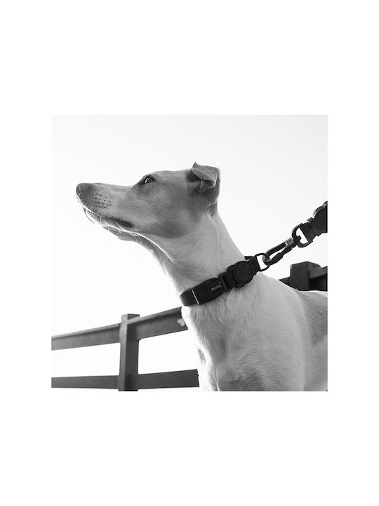Zee-Dog Ошийник за куче в Черен цвят Medium