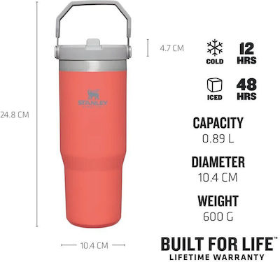 Stanley Bottle Thermos Stainless Steel BPA Free Silver 890ml with Straw