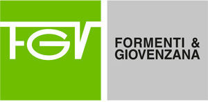 FGV Leitfaden Erweitern Sie mit Bremsen Gray 50x8.8cm 1Stück 65-104