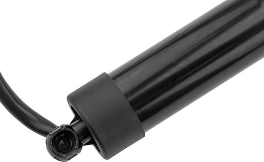 NTY Trunk Shock